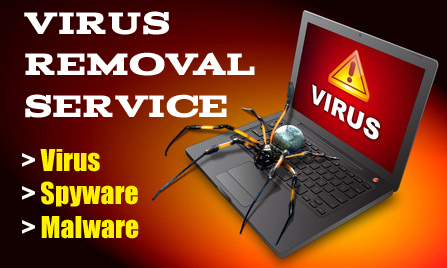 Virus removal services